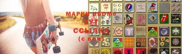 стаф Аркадак