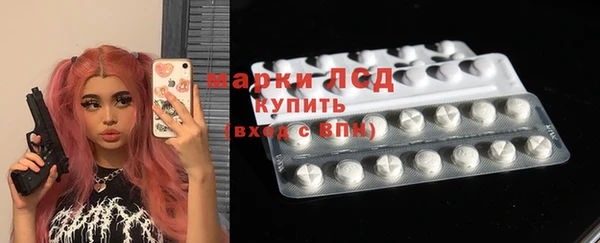 стаф Аркадак
