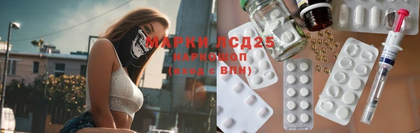 стаф Аркадак