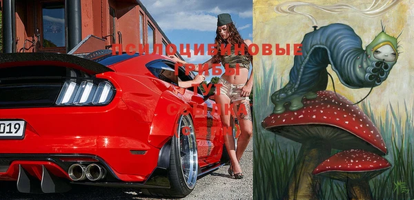 стаф Аркадак