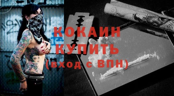 стаф Аркадак