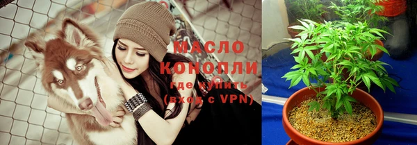 стаф Аркадак