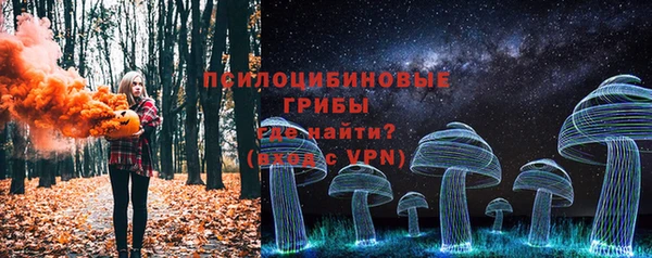 прущий лед Арсеньев