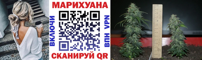 Каннабис ГИДРОПОН  OMG ссылки  Хилок 